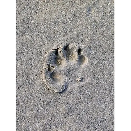 Wiesenblick F4 Comfortable בית נופש *